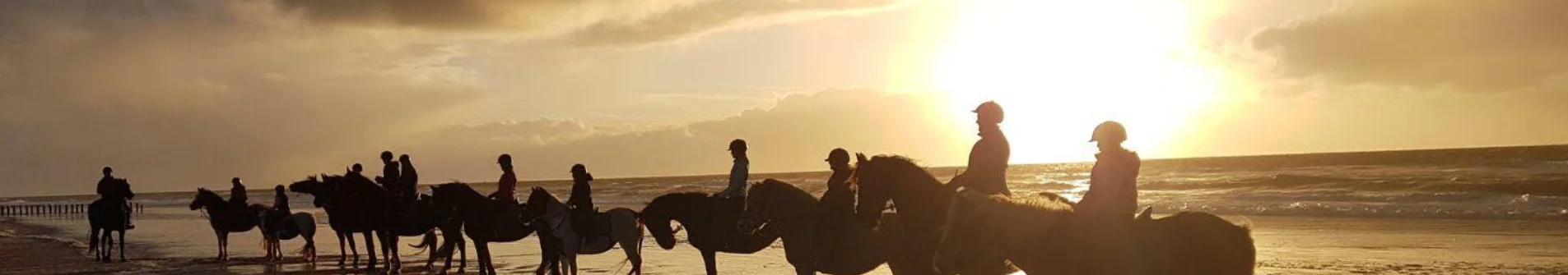 Achtergrondafbeelding